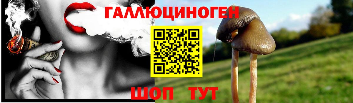Тверь  Псилоцибиновые грибы Psilocybe  Псилоцибиновые грибы GOLDEN TEACHER  Вход с VPN 